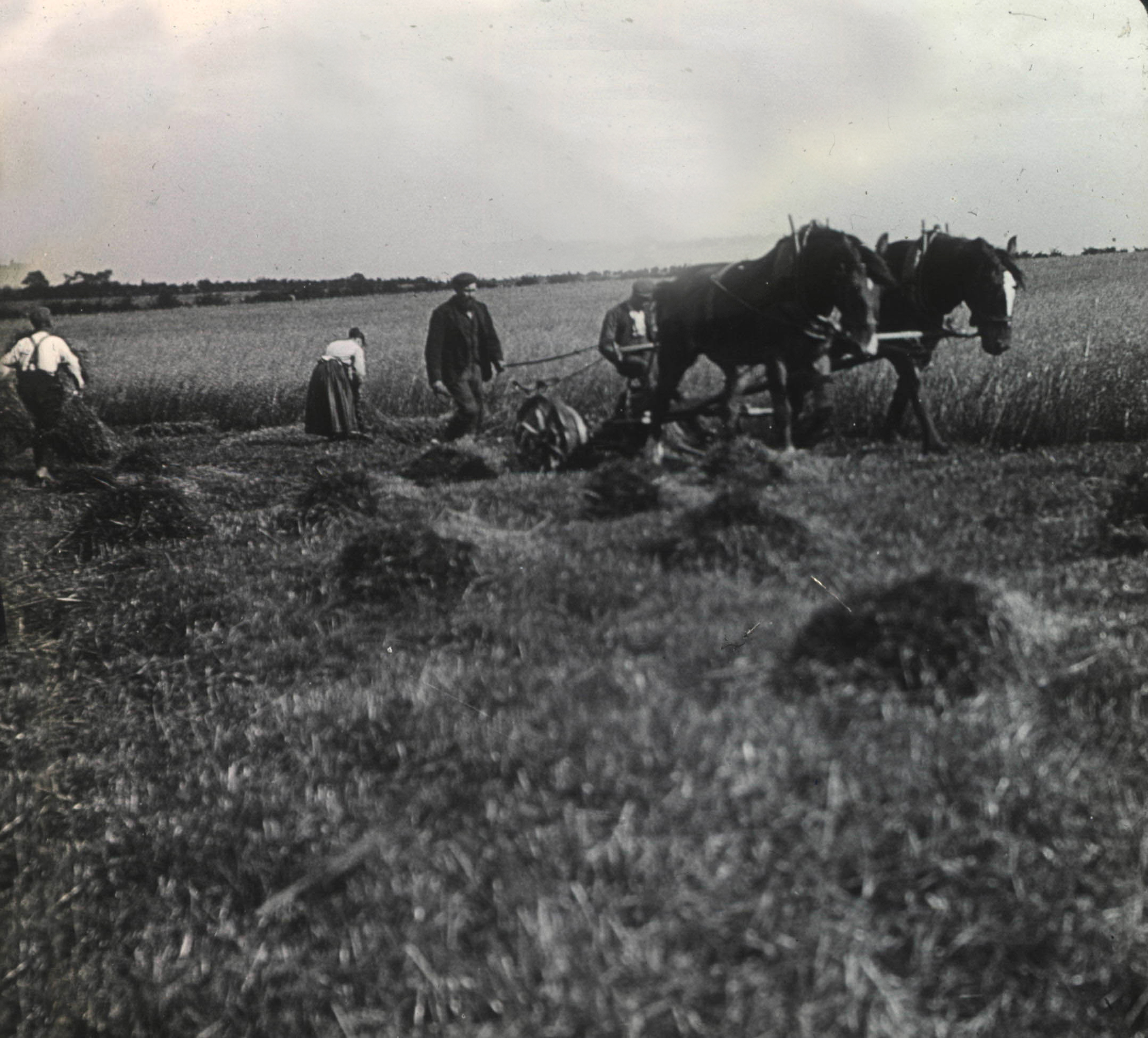 Farms Stonehouse Heritage