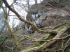DSCF0044