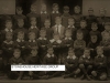 SHG10-0007
