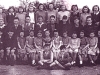 SHG40-0002