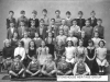 SHG50-0003