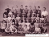 SHG50-0006
