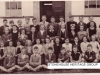 SHG50-0023