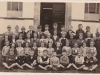 SHG50-0030