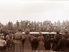 Cattle show 6