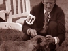 Cattle show3