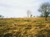273-chapel-burial-mound