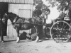 Gairdner (Lonsdale farm)1