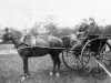 Gairdner (Lonsdale farm)3
