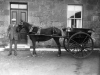 Gairdner (Lonsdale farm)5