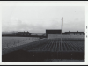 Greenhouse-prior-to-Mclean-gardens-1-2