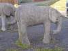 Elephants-2