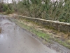 cander Bridge