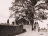 Entrance to Old Kirkyard 568